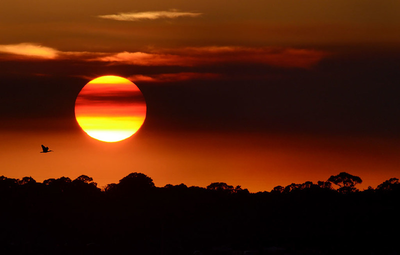 Red Sky